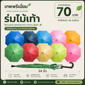 ร่มตอนเดียวด้ามไม้เท้า 10 สี 24 นิ้ว